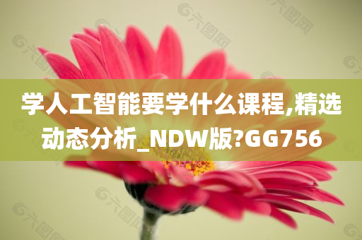 学人工智能要学什么课程,精选动态分析_NDW版?GG756