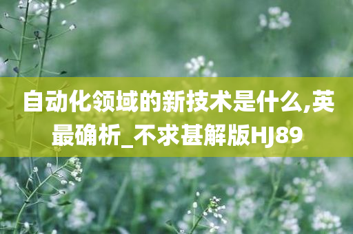 自动化领域的新技术是什么,英最确析_不求甚解版HJ89