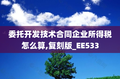 委托开发技术合同企业所得税怎么算,复刻版_EE533