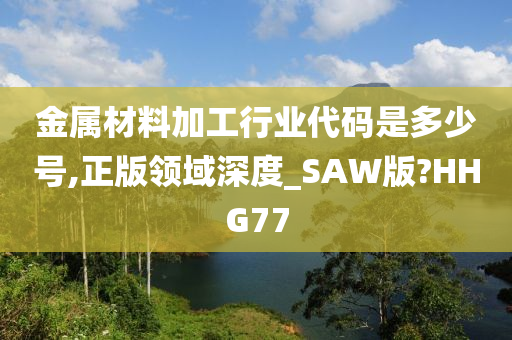 金属材料加工行业代码是多少号,正版领域深度_SAW版?HHG77