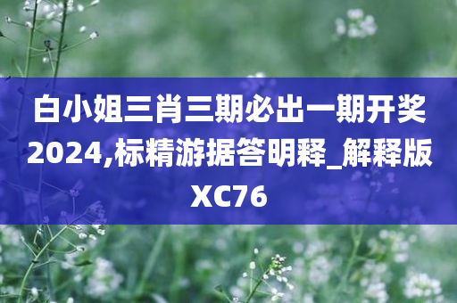 白小姐三肖三期必出一期开奖2024,标精游据答明释_解释版XC76