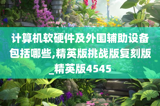 计算机软硬件及外围辅助设备包括哪些,精英版挑战版复刻版_精英版4545