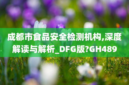 成都市食品安全检测机构,深度解读与解析_DFG版?GH489