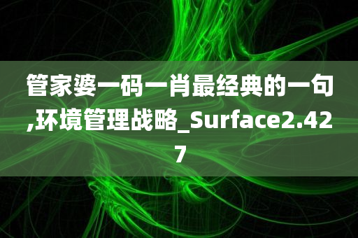 管家婆一码一肖最经典的一句,环境管理战略_Surface2.427