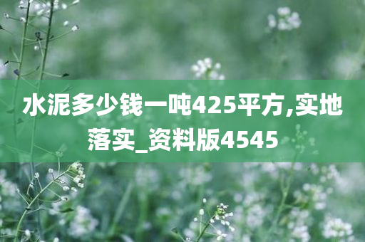 水泥多少钱一吨425平方,实地落实_资料版4545