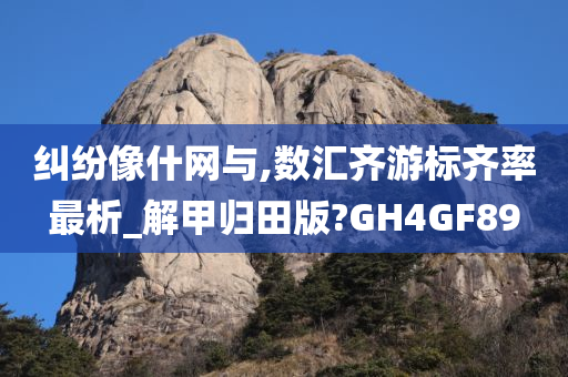 纠纷像什网与,数汇齐游标齐率最析_解甲归田版?GH4GF89