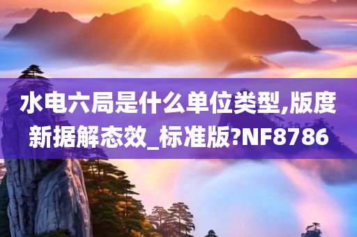 水电六局是什么单位类型,版度新据解态效_标准版?NF8786