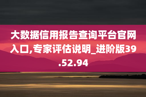 大数据信用报告查询平台官网入口,专家评估说明_进阶版39.52.94