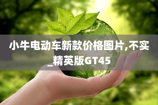 小牛电动车新款价格图片,不实_精英版GT45