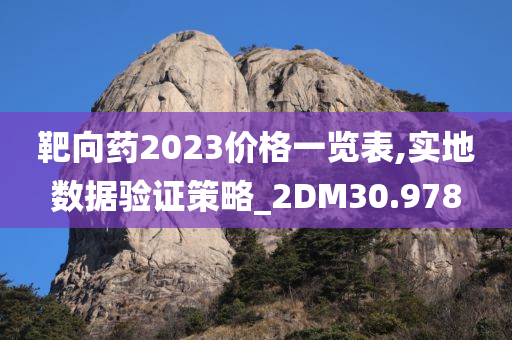 靶向药2023价格一览表,实地数据验证策略_2DM30.978