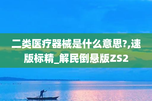 二类医疗器械是什么意思?,速版标精_解民倒悬版ZS2