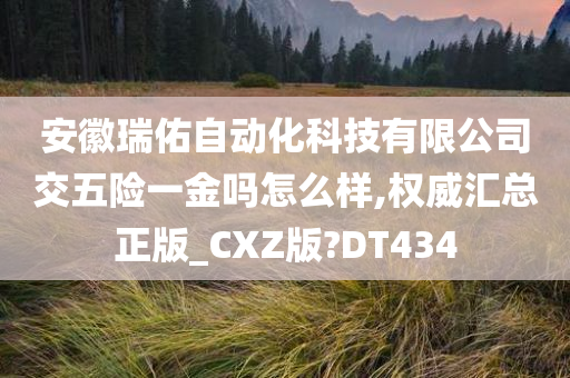 安徽瑞佑自动化科技有限公司交五险一金吗怎么样,权威汇总正版_CXZ版?DT434