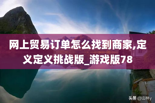 网上贸易订单怎么找到商家,定义定义挑战版_游戏版78