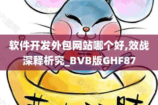 软件开发外包网站哪个好,效战深释析究_BVB版GHF87