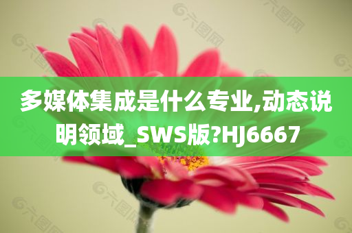 多媒体集成是什么专业,动态说明领域_SWS版?HJ6667