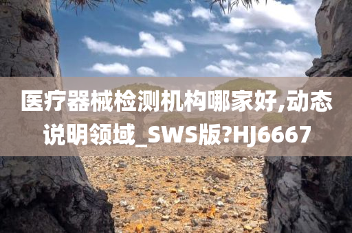 医疗器械检测机构哪家好,动态说明领域_SWS版?HJ6667