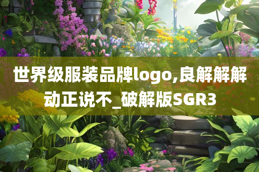 世界级服装品牌logo,良解解解动正说不_破解版SGR3