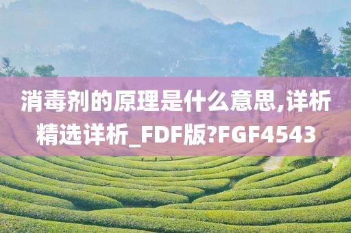 消毒剂的原理是什么意思,详析精选详析_FDF版?FGF4543