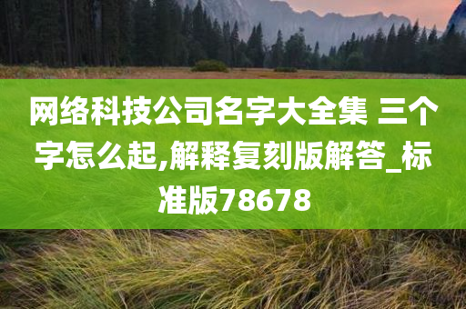 网络科技公司名字大全集 三个字怎么起,解释复刻版解答_标准版78678