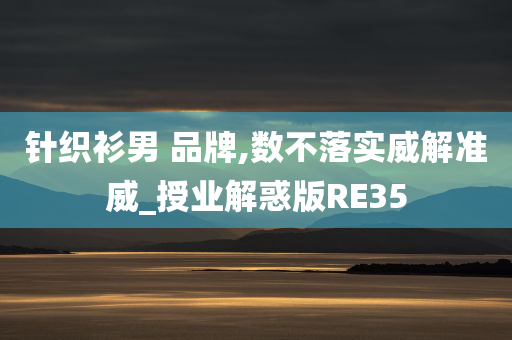 针织衫男 品牌,数不落实威解准威_授业解惑版RE35