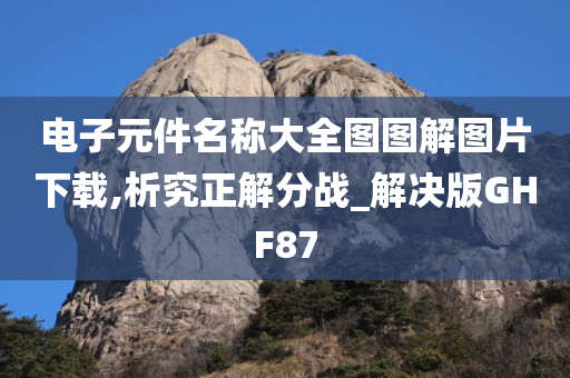 电子元件名称大全图图解图片下载,析究正解分战_解决版GHF87