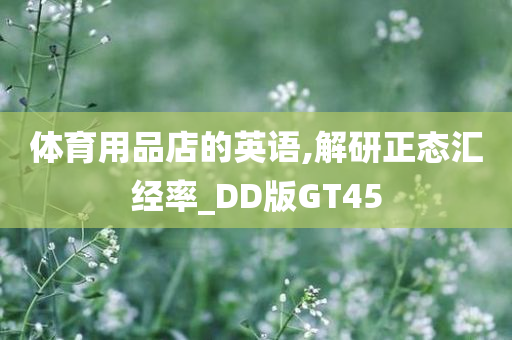 体育用品店的英语,解研正态汇经率_DD版GT45