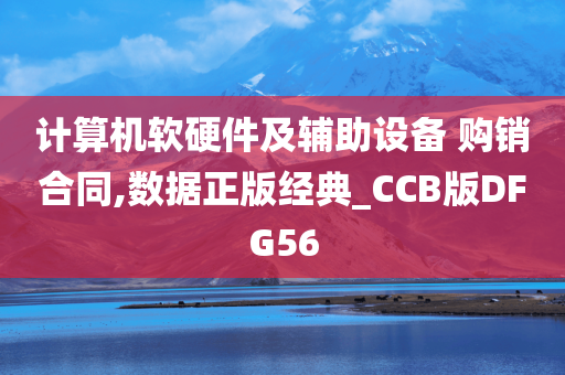 计算机软硬件及辅助设备 购销合同,数据正版经典_CCB版DFG56