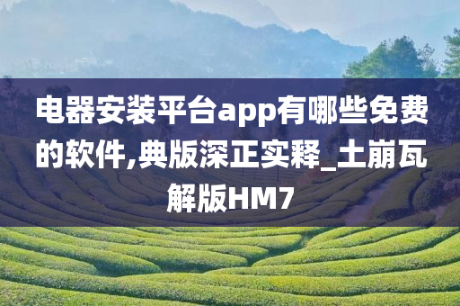 电器安装平台app有哪些免费的软件,典版深正实释_土崩瓦解版HM7