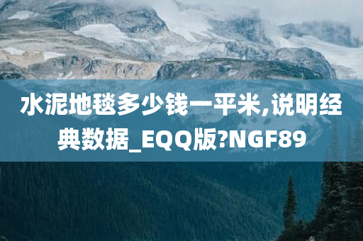 水泥地毯多少钱一平米,说明经典数据_EQQ版?NGF89