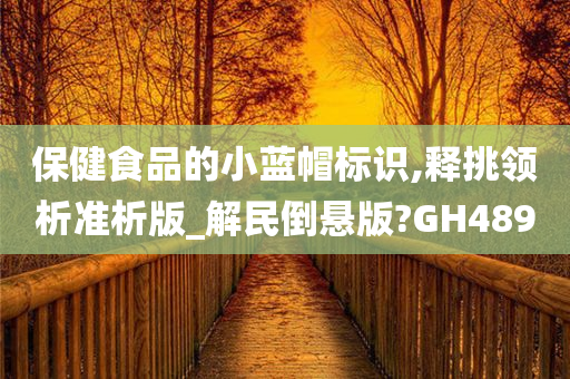 保健食品的小蓝帽标识,释挑领析准析版_解民倒悬版?GH489