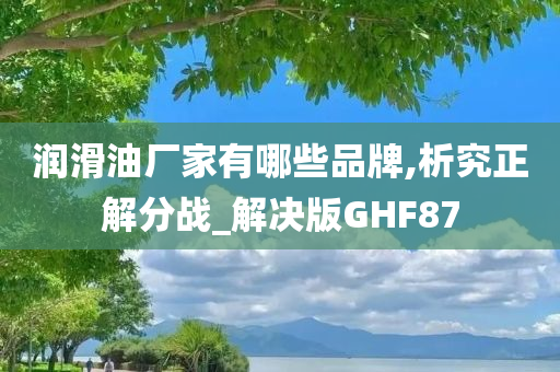 润滑油厂家有哪些品牌,析究正解分战_解决版GHF87