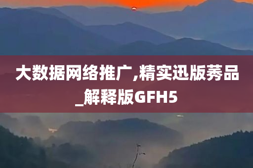 大数据网络推广,精实迅版莠品_解释版GFH5