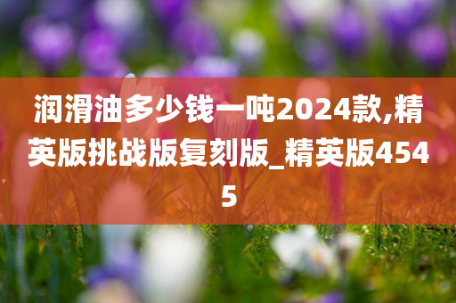 润滑油多少钱一吨2024款,精英版挑战版复刻版_精英版4545