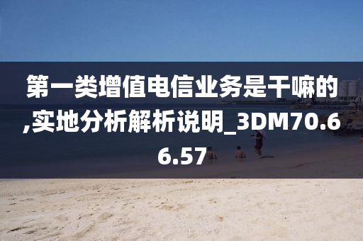 第一类增值电信业务是干嘛的,实地分析解析说明_3DM70.66.57