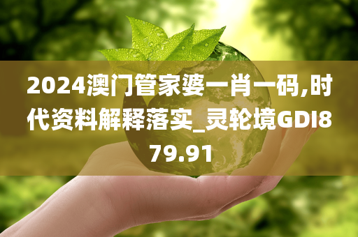 2024澳门管家婆一肖一码,时代资料解释落实_灵轮境GDI879.91