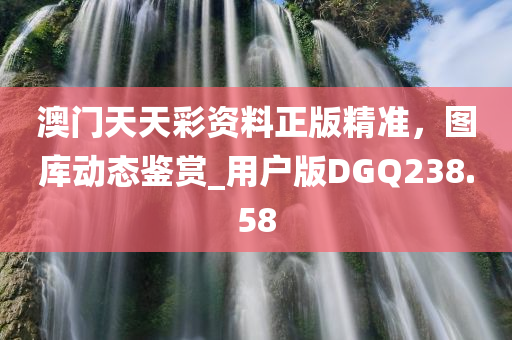 澳门天天彩资料正版精准，图库动态鉴赏_用户版DGQ238.58