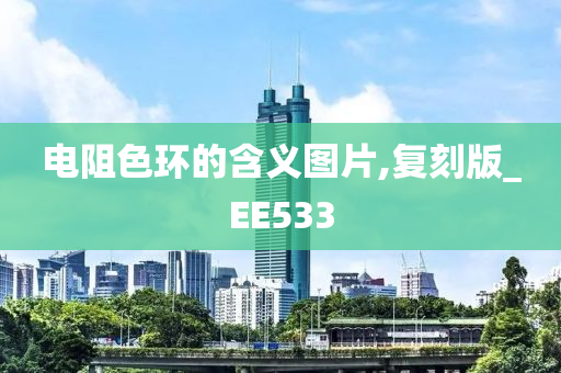 电阻色环的含义图片,复刻版_EE533