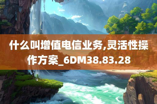 什么叫增值电信业务,灵活性操作方案_6DM38.83.28