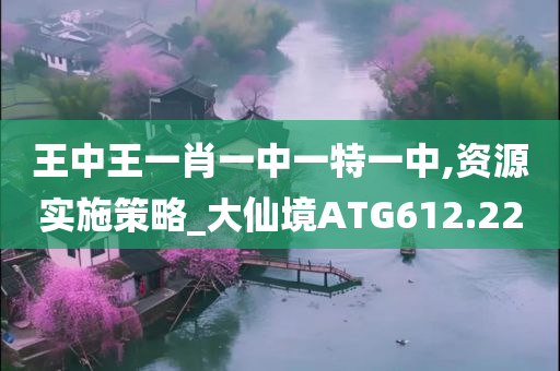 王中王一肖一中一特一中,资源实施策略_大仙境ATG612.22