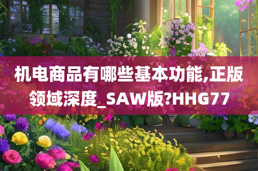 机电商品有哪些基本功能,正版领域深度_SAW版?HHG77