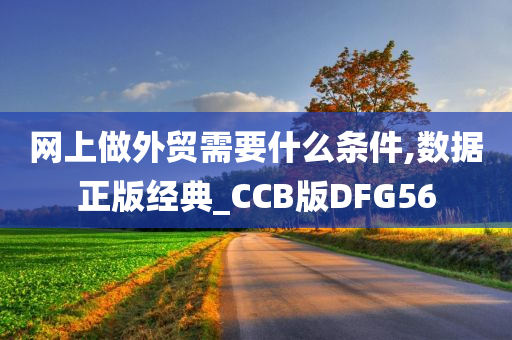 网上做外贸需要什么条件,数据正版经典_CCB版DFG56