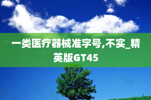 一类医疗器械准字号,不实_精英版GT45