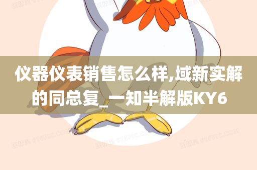 仪器仪表销售怎么样,域新实解的同总复_一知半解版KY6