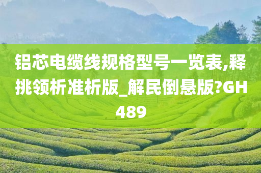 铝芯电缆线规格型号一览表,释挑领析准析版_解民倒悬版?GH489