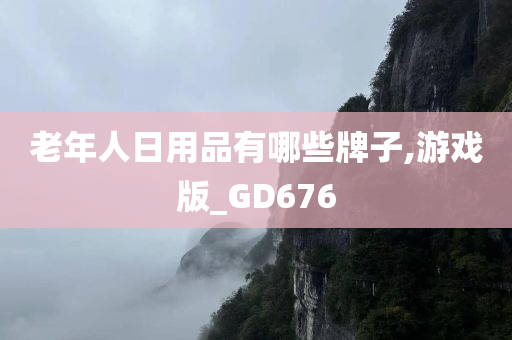 老年人日用品有哪些牌子,游戏版_GD676