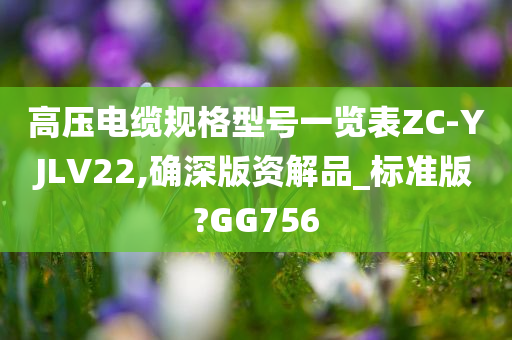 高压电缆规格型号一览表ZC-YJLV22,确深版资解品_标准版?GG756