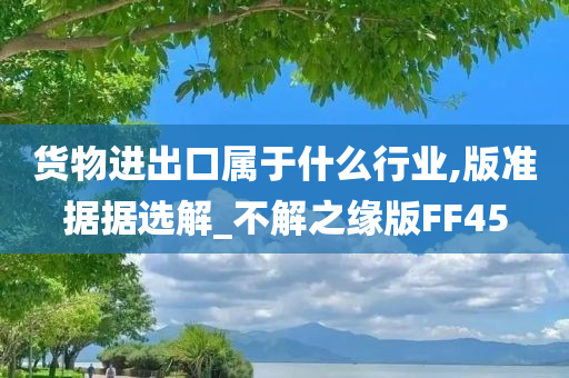 货物进出口属于什么行业,版准据据选解_不解之缘版FF45