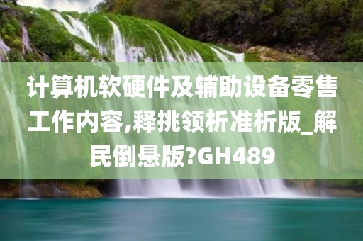 计算机软硬件及辅助设备零售工作内容,释挑领析准析版_解民倒悬版?GH489