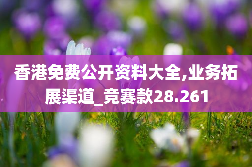 香港免费公开资料大全,业务拓展渠道_竞赛款28.261