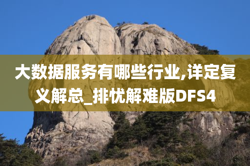 大数据服务有哪些行业,详定复义解总_排忧解难版DFS4